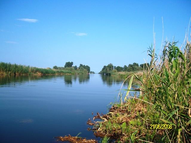 delta rosu 2008 - sany0617.JPG